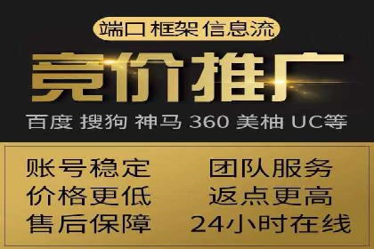 行业领先的SEM投放效果案例解析